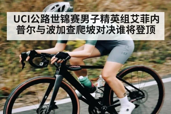 UCI公路世锦赛男子精英组艾菲内普尔与波加查爬坡对决谁将登顶