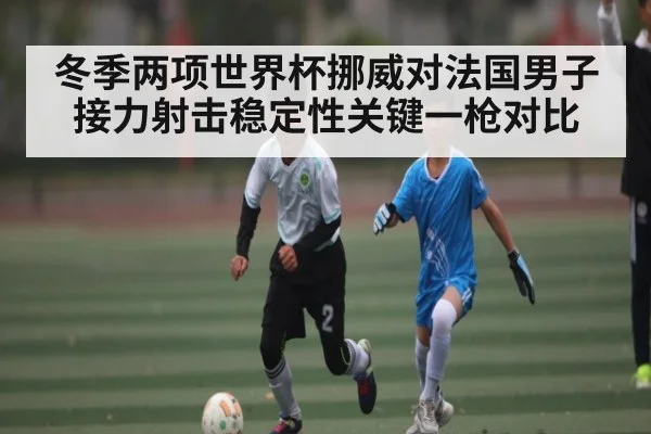 冬季两项世界杯挪威对法国男子接力射击稳定性关键一枪对比