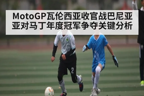 MotoGP瓦伦西亚收官战巴尼亚亚对马丁年度冠军争夺关键分析